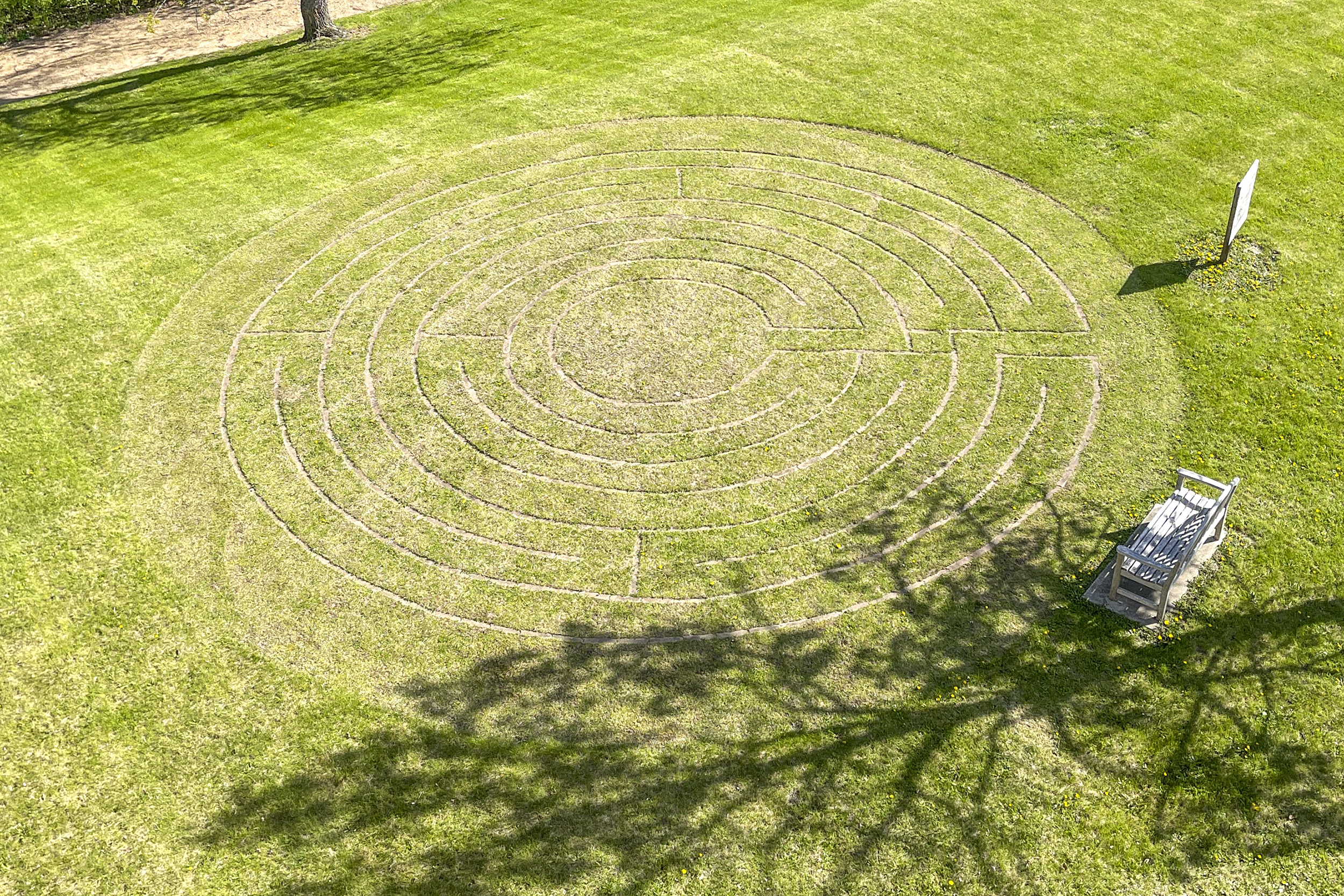 Green grass with circular lines
